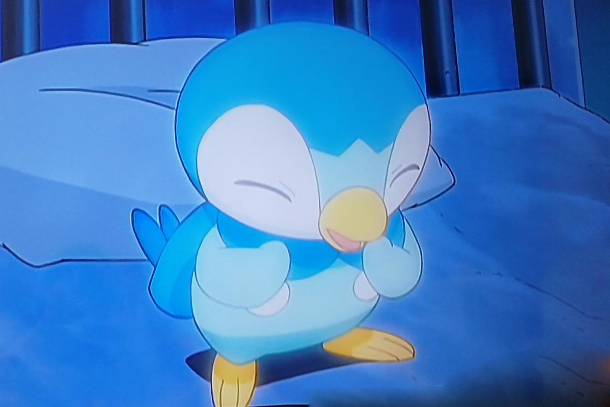 皮卡丘为小智、波加曼为小光，妙蛙种子又是为了什么不进化？