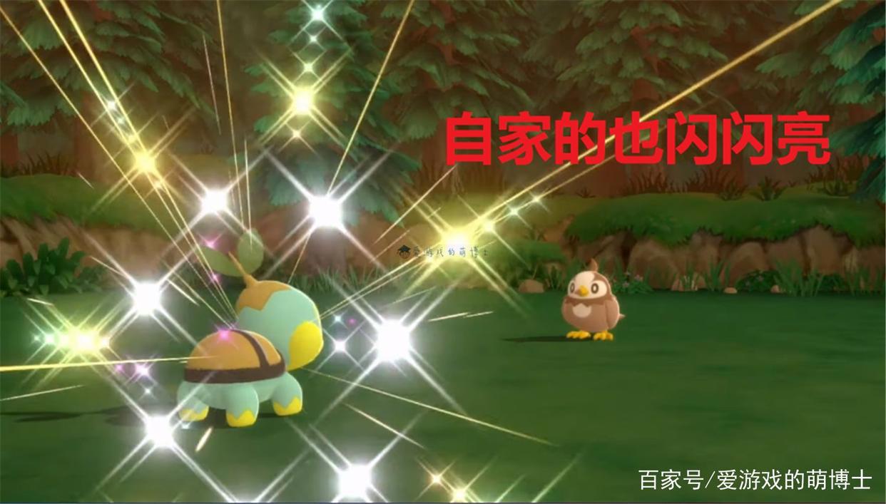 节目效果爆炸，《宝可梦：晶灿钻石》主播同时遇到两只异色精灵