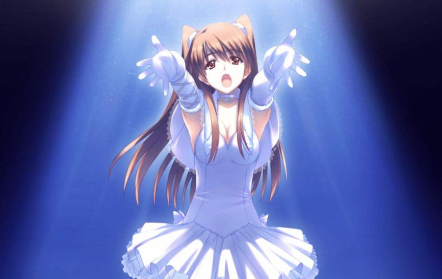 《白色相簿2》、《梦想歌》的作曲家衣笠道雄去世了