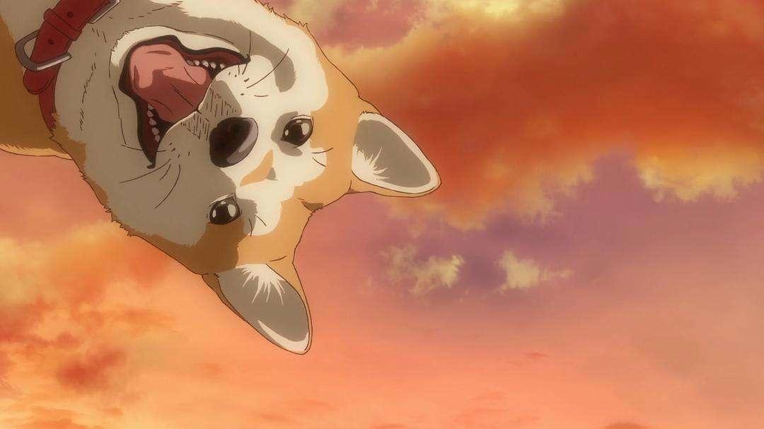 强风吹拂-新的开始