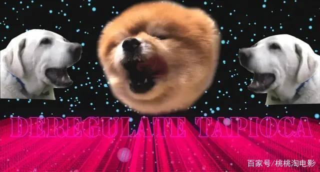 《智能大反攻》：好久没看到这么欢乐的电影了