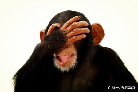 《亚人》：佐藤先生既不是革命家也不是谋略家，他只是个玩家！