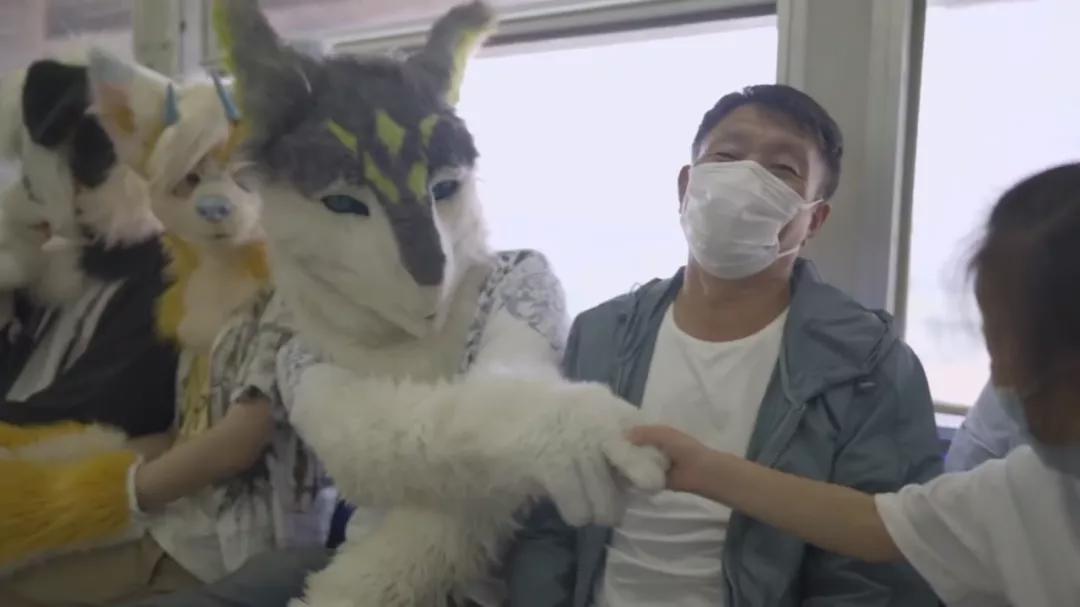 豪掷上万元买一身“兽装”，“兽人控”的秘密、纠结和爱