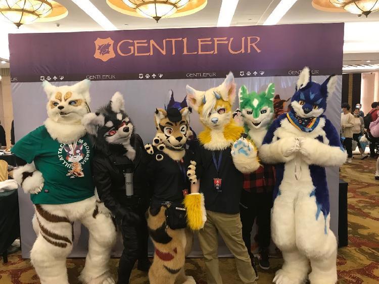 “萌兽”出没请注意！重庆绒雪节吸引全国兽装文化爱好者