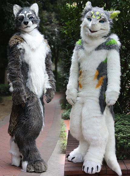 “萌兽”出没请注意！重庆绒雪节吸引全国兽装文化爱好者