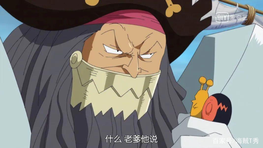海贼王：世界最强海贼团，白胡子麾下海贼团43位船长完全解析！