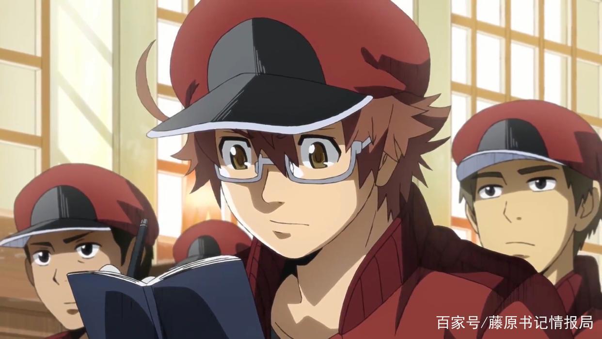 同步放送！动画《工作细胞BLACK》公开PV第二弹