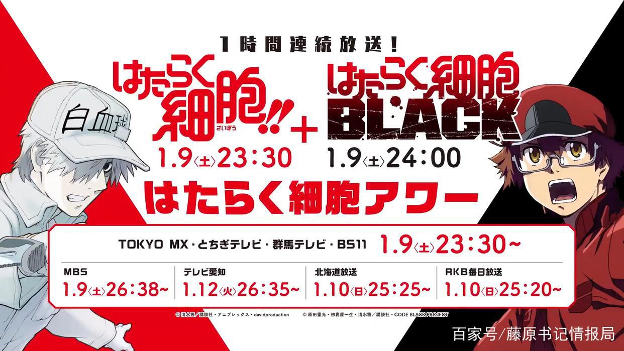 同步放送！动画《工作细胞BLACK》公开PV第二弹