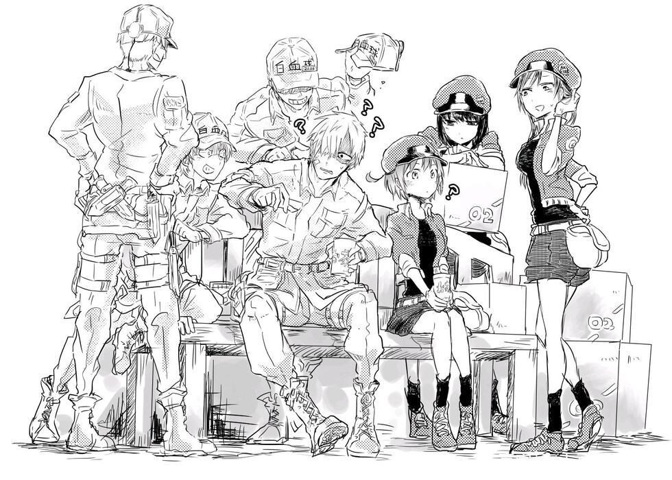 “我们又要生病了！”《工作细胞black》确定播出时间