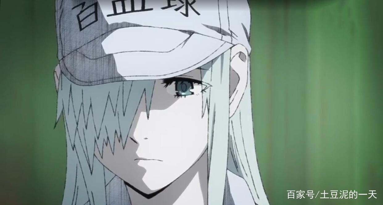 “我们又要生病了！”《工作细胞black》确定播出时间