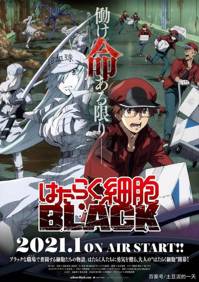 “我们又要生病了！”《工作细胞black》确定播出时间
