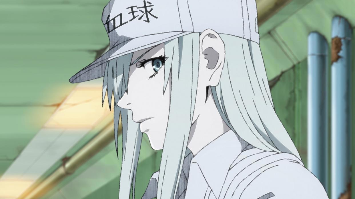 《工作细胞BLACK》首支官方预告释出，白血球姐姐超凶登场