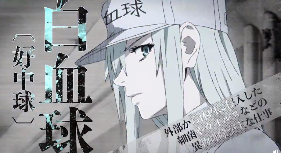 《工作细胞black》番外PV公布，网友：这不是我认识的血小板