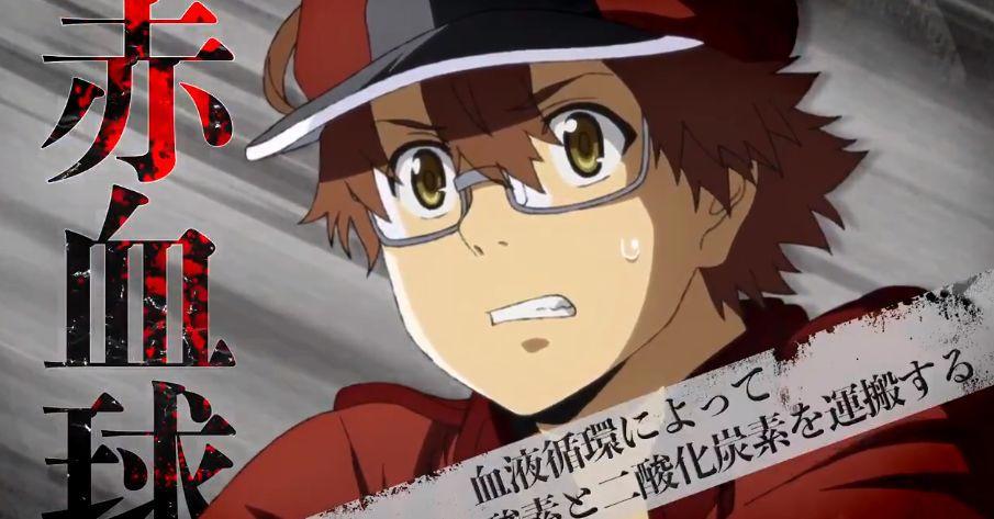 《工作细胞black》番外PV公布，网友：这不是我认识的血小板