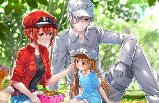 《工作细胞black》用超然的战斗场景，诉说着人们对自身的不负责