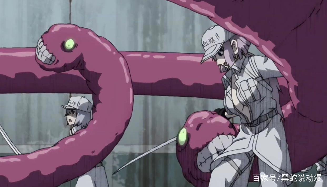 工作细胞black新预告详解粉丝：想看白血球妹子大战新冠