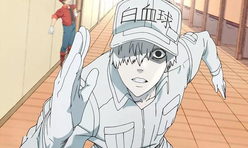 工作细胞：BLACK版本比起原版更受欢迎？我们身体也是BLACK版本