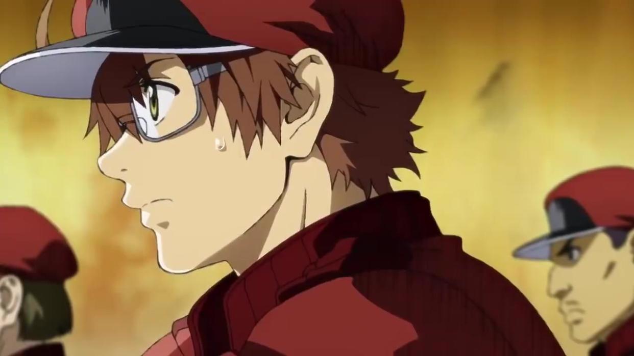 工作细胞：BLACK版本比起原版更受欢迎？我们身体也是BLACK版本