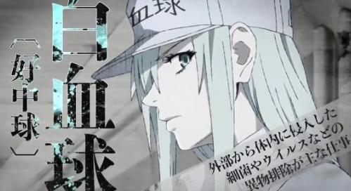 工作细胞对比black版，两个不同的身体背后的故事，各不相同