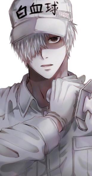 工作细胞对比black版，两个不同的身体背后的故事，各不相同