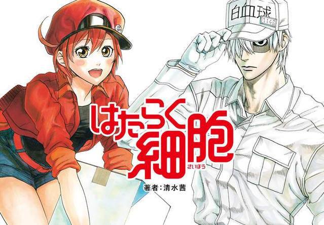 另类新作《工作细胞Black》，白血球居然是魔鬼身材的大姐姐啊！