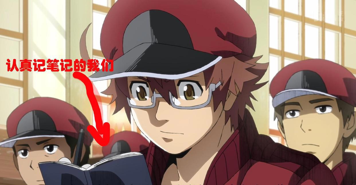 《工作细胞BLACK》：太真实了，社畜现状，黑心企业竟是我自己