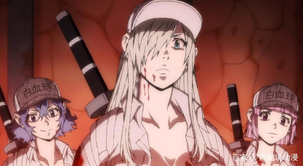 工作细胞black第2话先行图肝细胞与白细胞大姐姐的修罗场