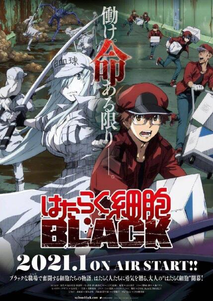 工作细胞BLACK：开始看就已经心痛自己的细胞，这是一部劝诫动漫