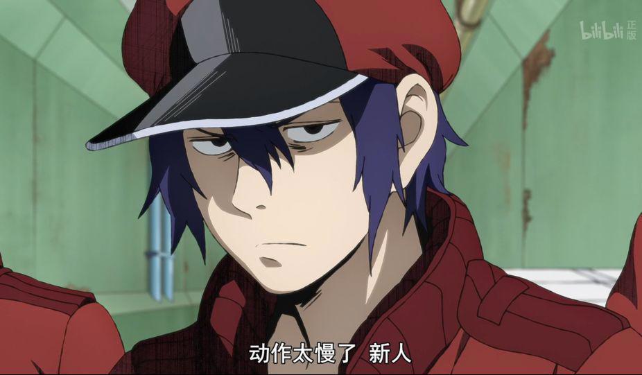 《工作细胞BLACK》：萌新红血球初遇白细胞，疑似脸红！