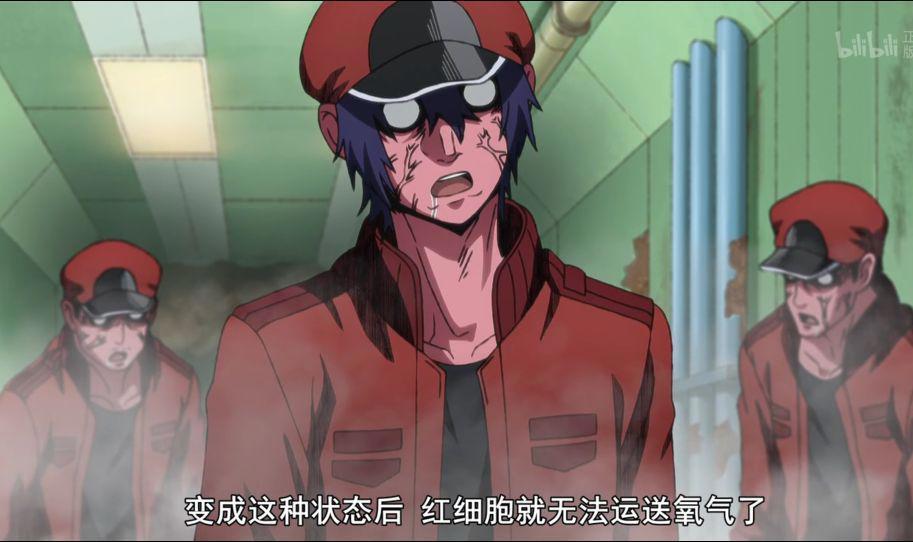 《工作细胞BLACK》：萌新红血球初遇白细胞，疑似脸红！