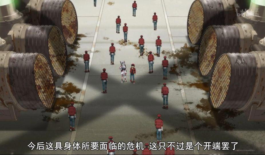 《工作细胞BLACK》：萌新红血球初遇白细胞，疑似脸红！