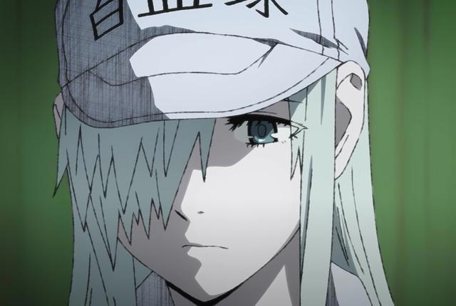 大叔的血小板长这样？《工作细胞BLACK》动画明年播出！