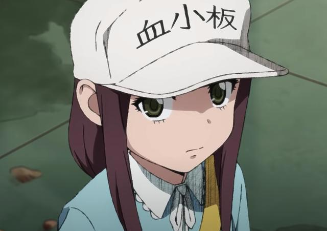 大叔的血小板长这样？《工作细胞BLACK》动画明年播出！