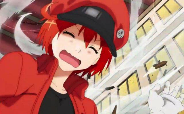 大叔的血小板长这样？《工作细胞BLACK》动画明年播出！