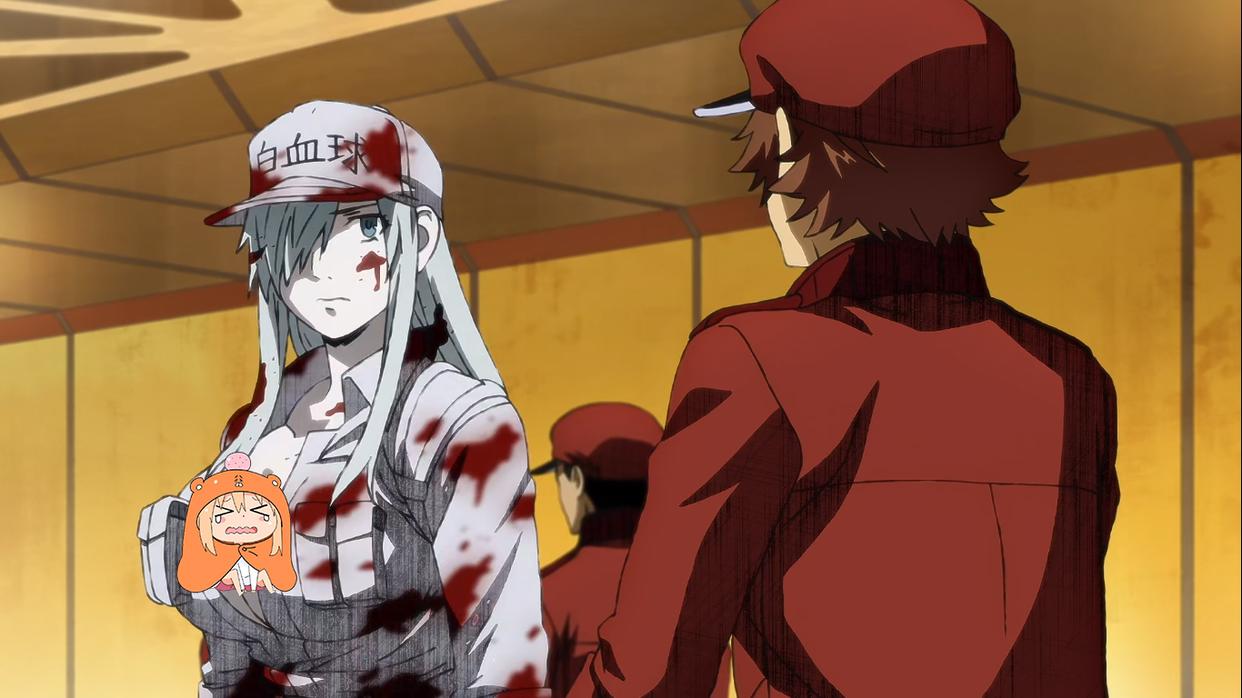 《工作细胞Black》开播，画风突变，如此暴躁的血小板你还喜欢吗