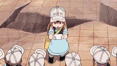 《工作细胞BLACK》动画化，看点多多，白血球居然变成了御姐！