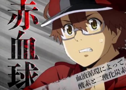 《工作细胞BLACK》TV动画2021年登场，白血球大姐姐也来了