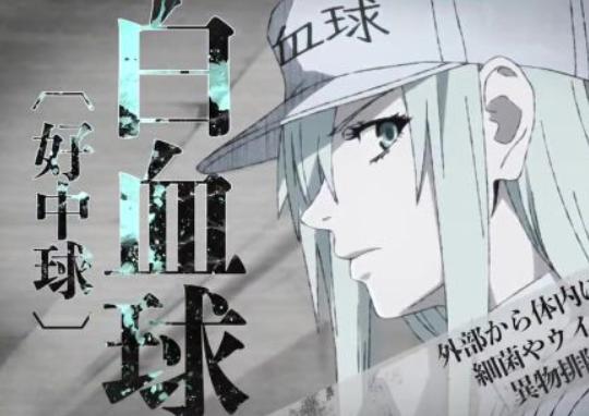 《工作细胞BLACK》TV动画2021年登场，白血球大姐姐也来了