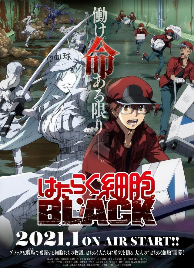 工作细胞Black：黑暗画风来袭，画面过于真实，能否过审播出成谜