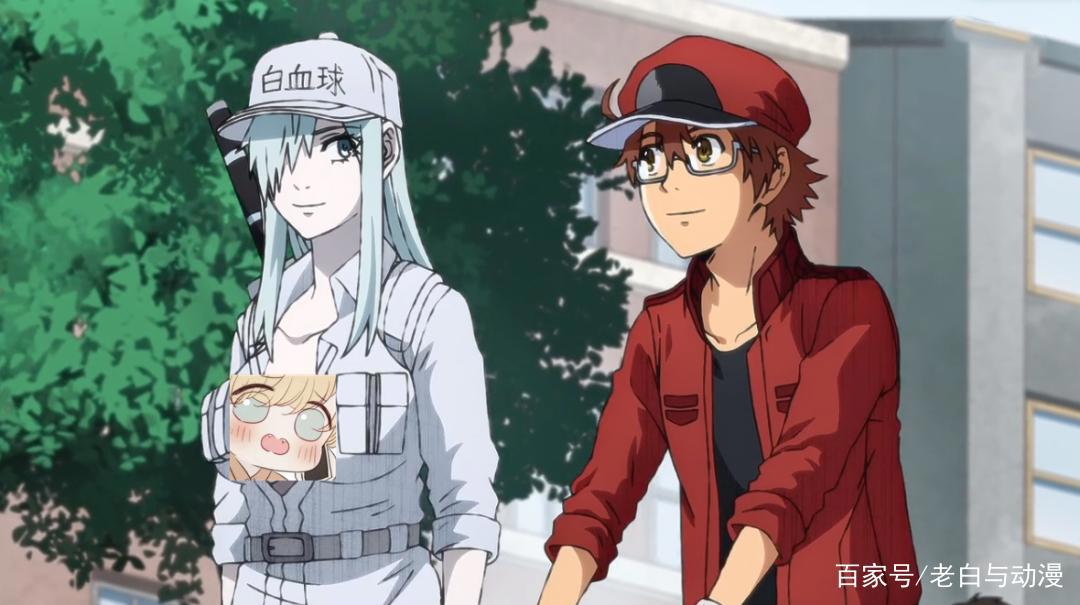 《工作细胞BLACK》完结，主人苏醒过来，红细胞跑到更差的身体