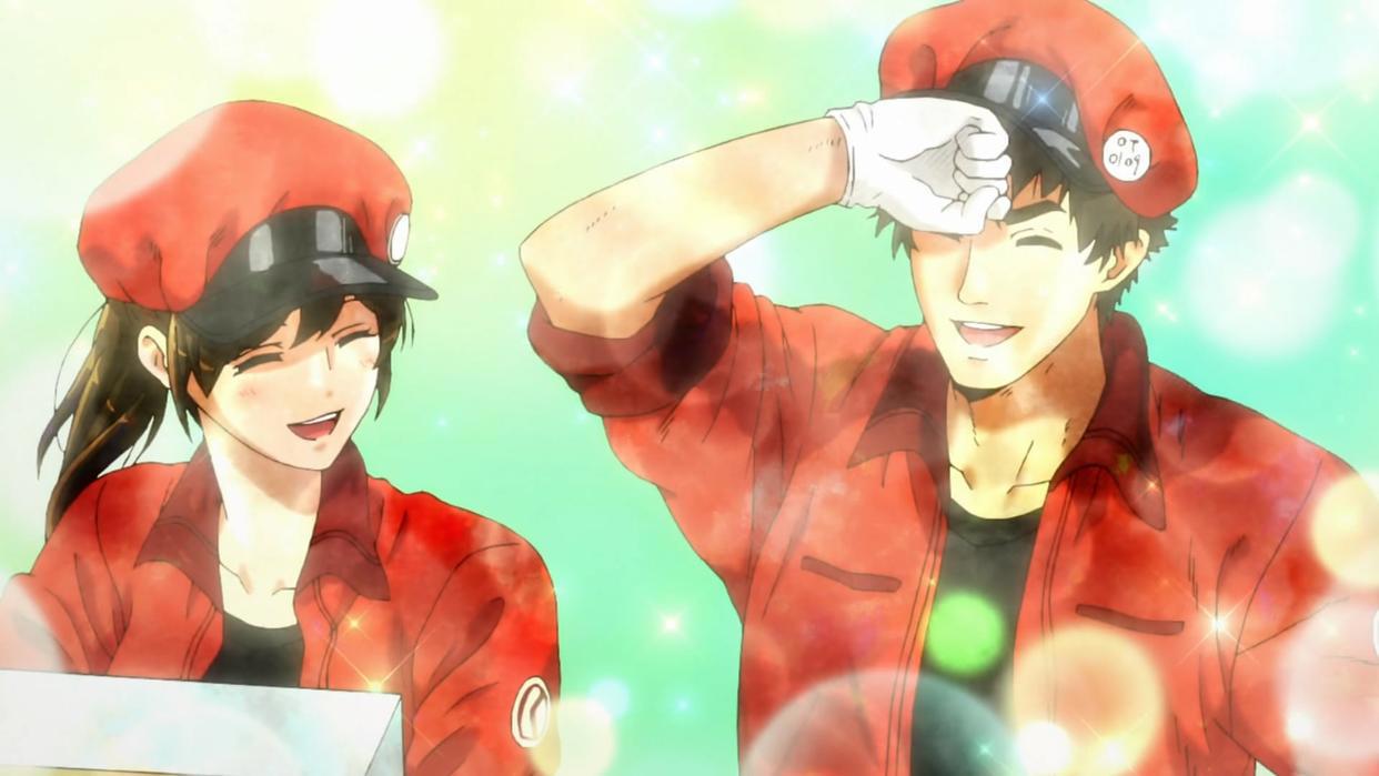 《工作细胞BLACK》动画化，生于糟糕的时代，在绝望中积极的生活