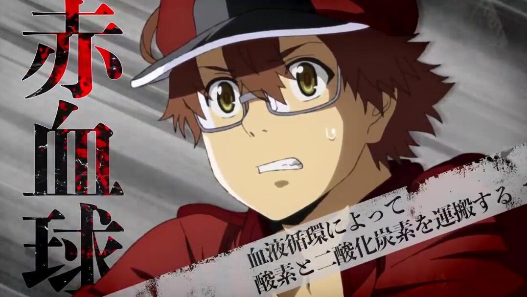 工作细胞BLACK动画版改动较多，漫画版是两个身体，好基友也没了