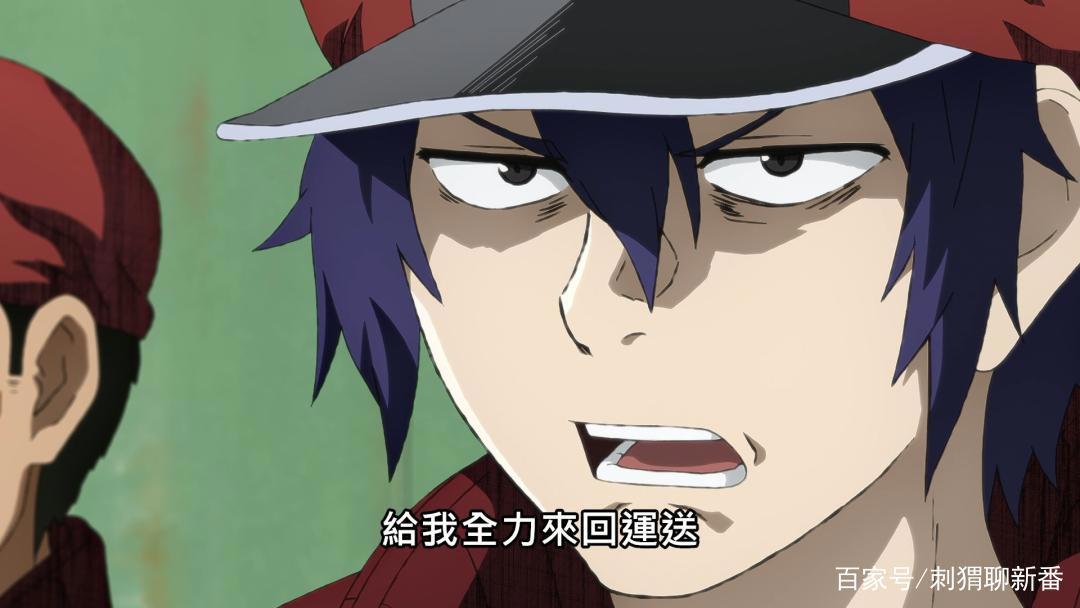 新番推荐：工作细胞Black