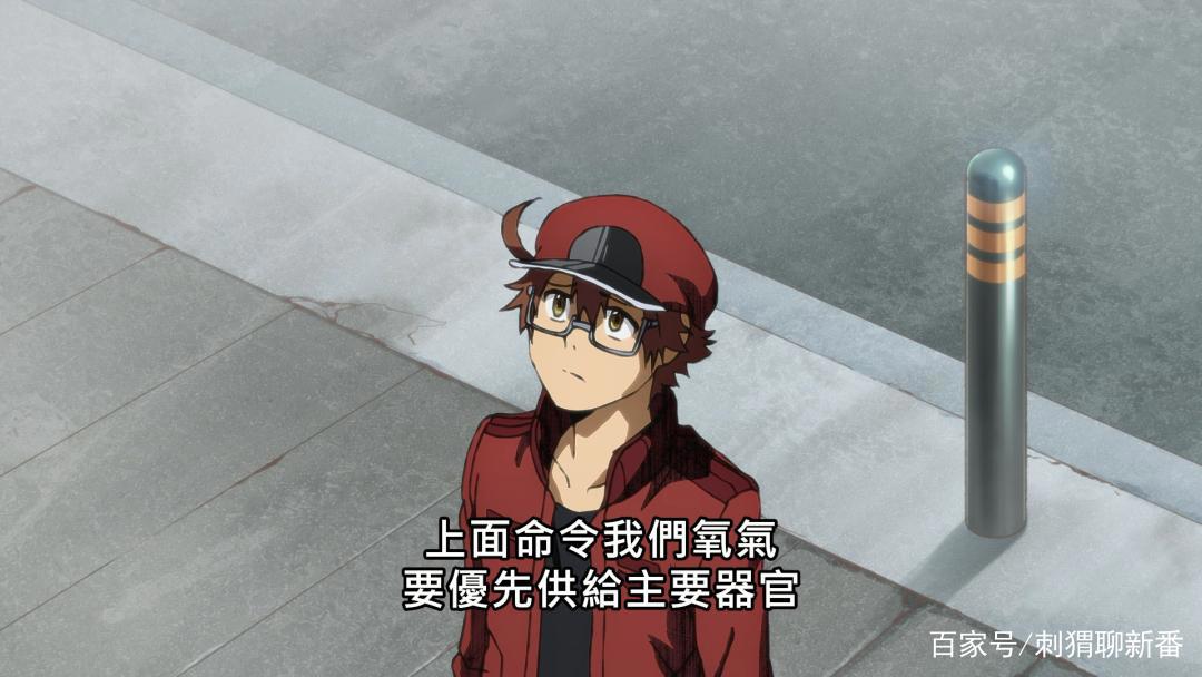 新番推荐：工作细胞Black