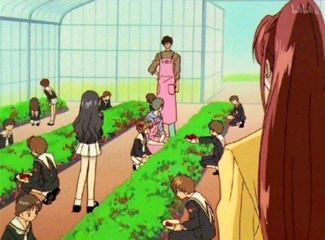 魔卡少女樱：小狼送草莓表心意，却送成大型修罗场，桃矢表情满分