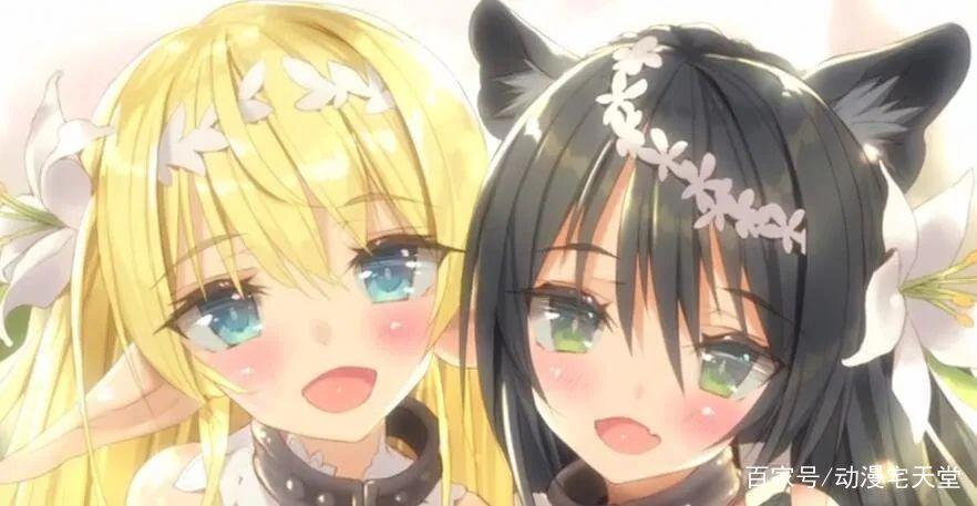 四月新番女主大合集你想把谁娶回家我选白姬