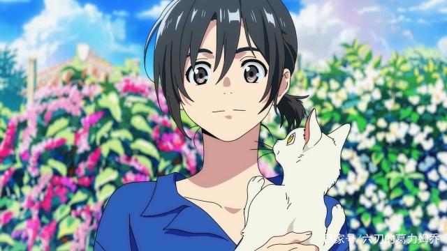 官方公布剧场版动画《海边的异邦人》的最新宣传预告和宣传海报！