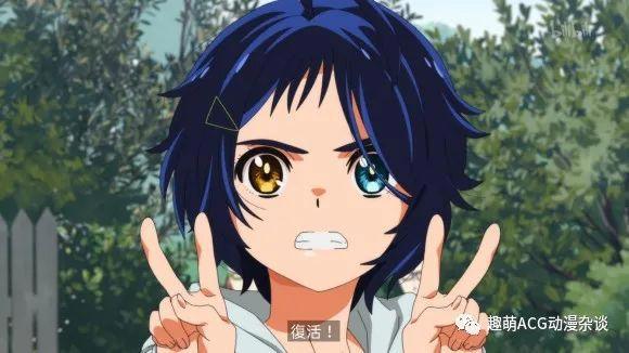 有毒！大辽亡了！奇蛋物语SP再现原创番烂尾惯例