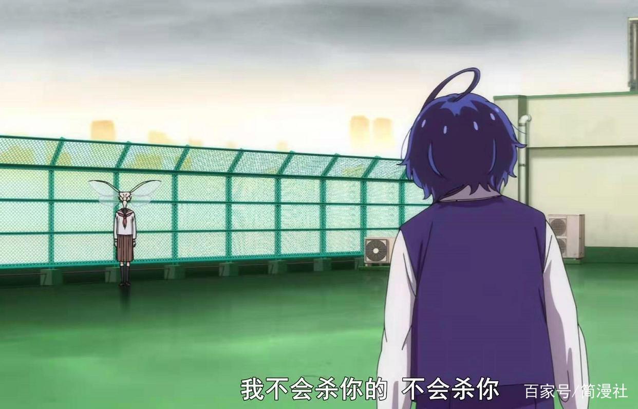 黑马新番《奇蛋物语》最终话改档，平行世界能否为少女带来答案？