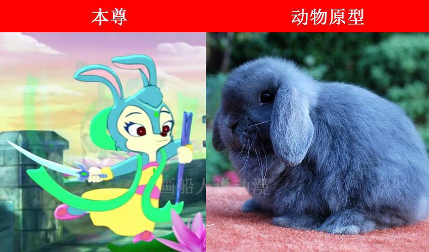 虹猫蓝兔七侠传角色的动物原型，大奔是北极熊，跳跳和孙悟空一样